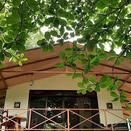 Casa Martina Διαμέρισμα Cahuita Εξωτερικό φωτογραφία