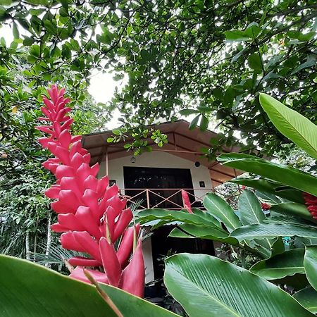 Casa Martina Διαμέρισμα Cahuita Εξωτερικό φωτογραφία