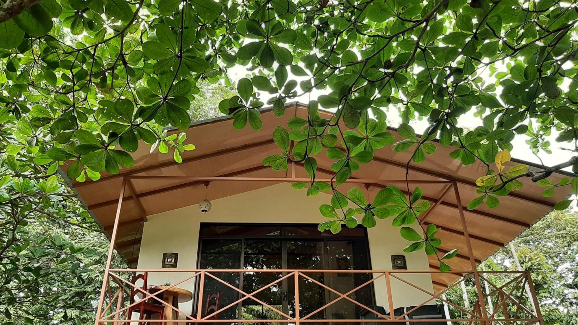 Casa Martina Διαμέρισμα Cahuita Εξωτερικό φωτογραφία